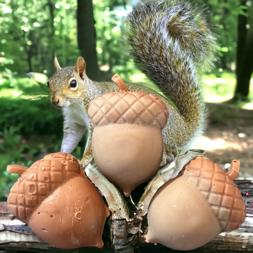 Small forest creatures soap bars, lightly scented with drunken apple fragrance. Three acorns shown with a squirrel in a forest.