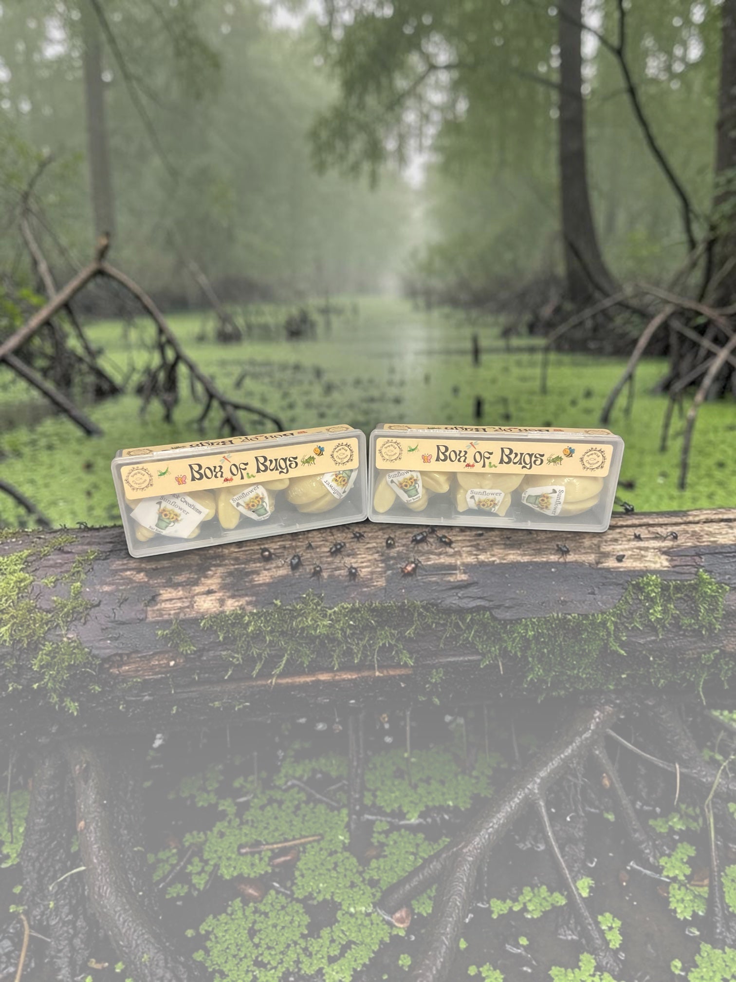 Two small clear plastic boxes labeled 'Box of Bugs' containing miniature sunflower, scented insect shaped soaps, placed on a mossy log in a blurred swamp forest background.