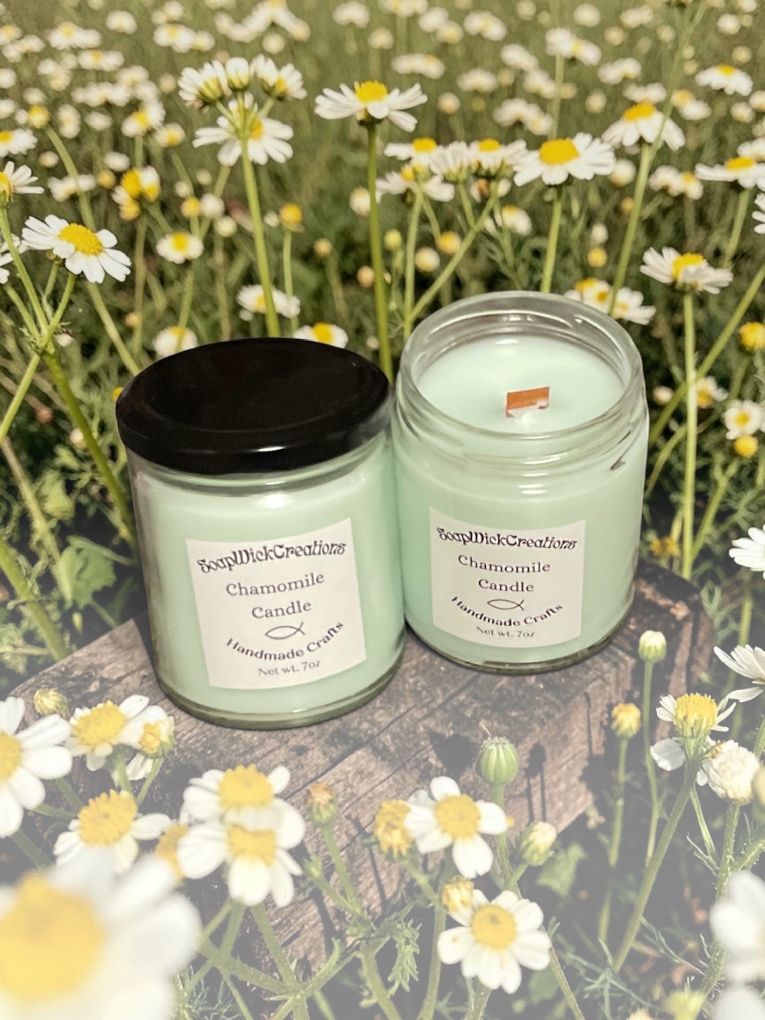 Two mint colored chamomile 9 ounce jar, candles surrounded by chamomile flowers.