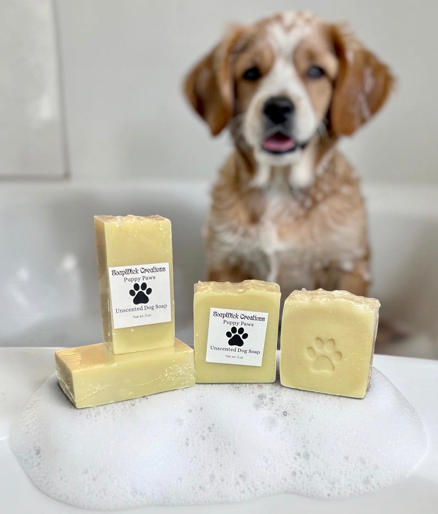 Picture of a dog with lather on its fur sitting in a bath with the four bars of puppy paws, unscented dog soap in front of him.